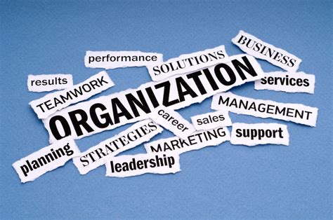Our organization .